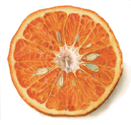 naranja